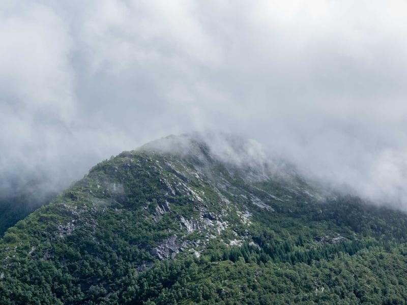 Hoddevik Fjell-hytte