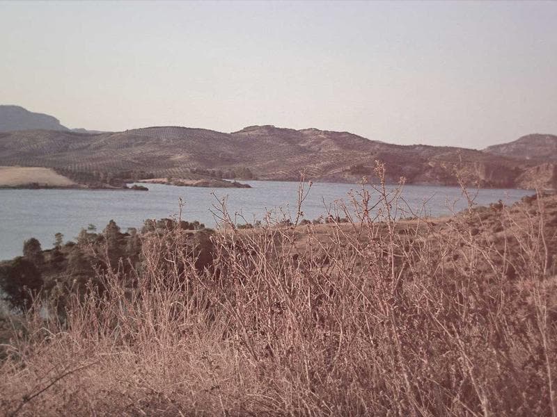Máncora Warm Water Shack